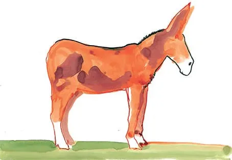 Ilustración de un burro